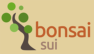 Bonsai home page